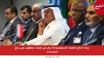 زيادة إنتاج النفط: السعودية و7 دول في أوبك+ يتفقون على رفع الإمدادات
